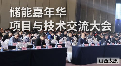 2020储能嘉年华 项目与技术交流大会已圆满落幕