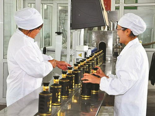 山西省非物质文化遗产 桑落酒制作技艺