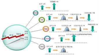 文章 昆明分部光网络产品教研组技术交流之高速线路传输技术
