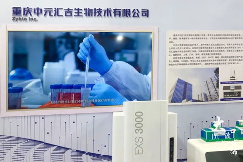 打探2021智博会,大渡口14家企业携高科技产品亮相