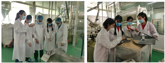 青年红色筑梦之旅 :燕麦之“香”,扶传四方