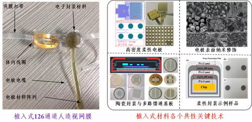 深圳先进院携多个黑科技产品闪耀CIOE2018，推动光电技术交流与创新